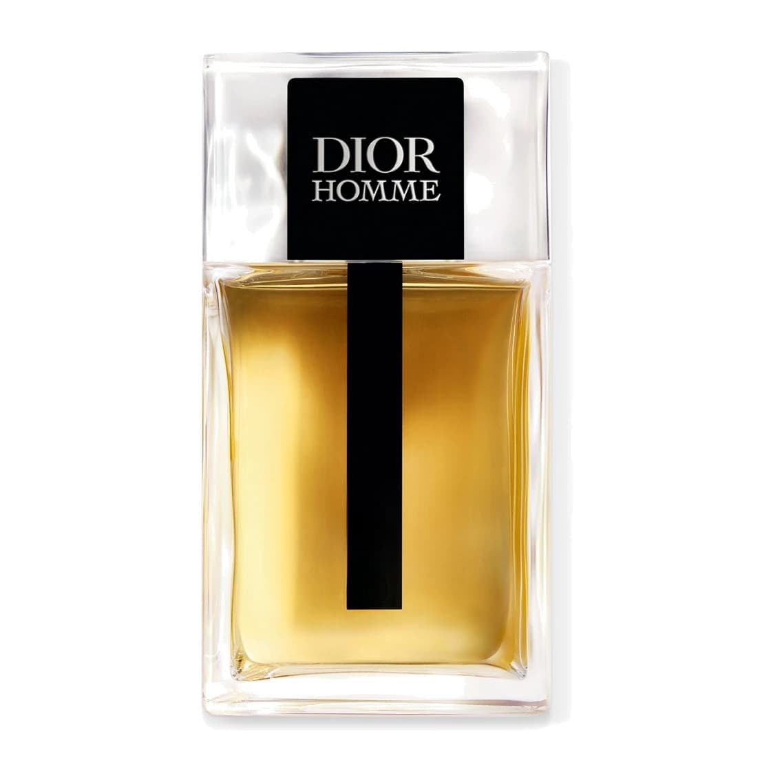 Dior Dior Homme